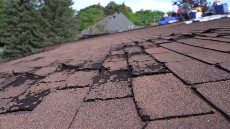 Best Roof Insulation Installation  in Derry, PA